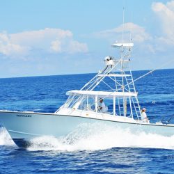 Facts About Fishing The Gulf